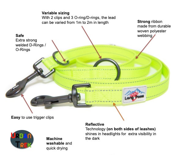 Long Paws, Multi-Function Neon Training Lead