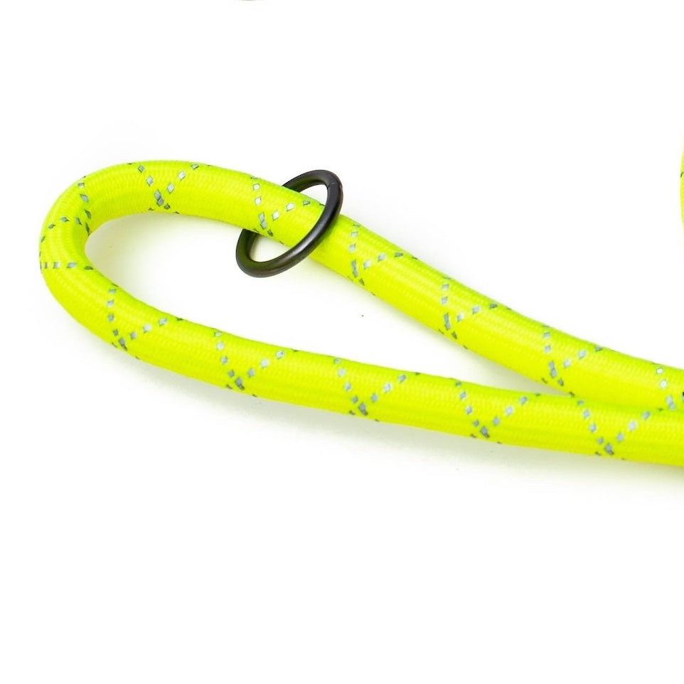 Long Paws, Neon Collar & Reflective Rope Lead Set